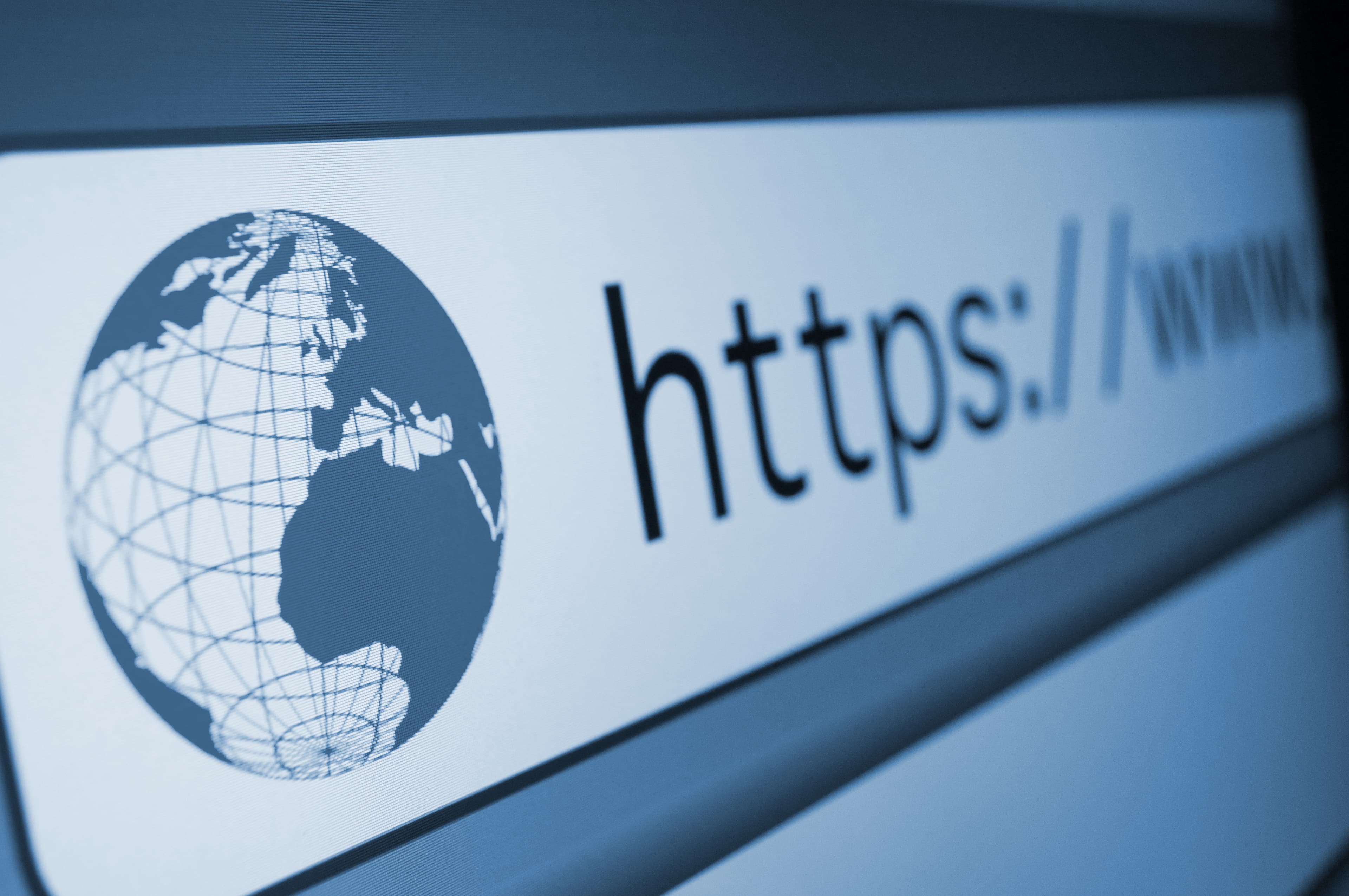 web search bar