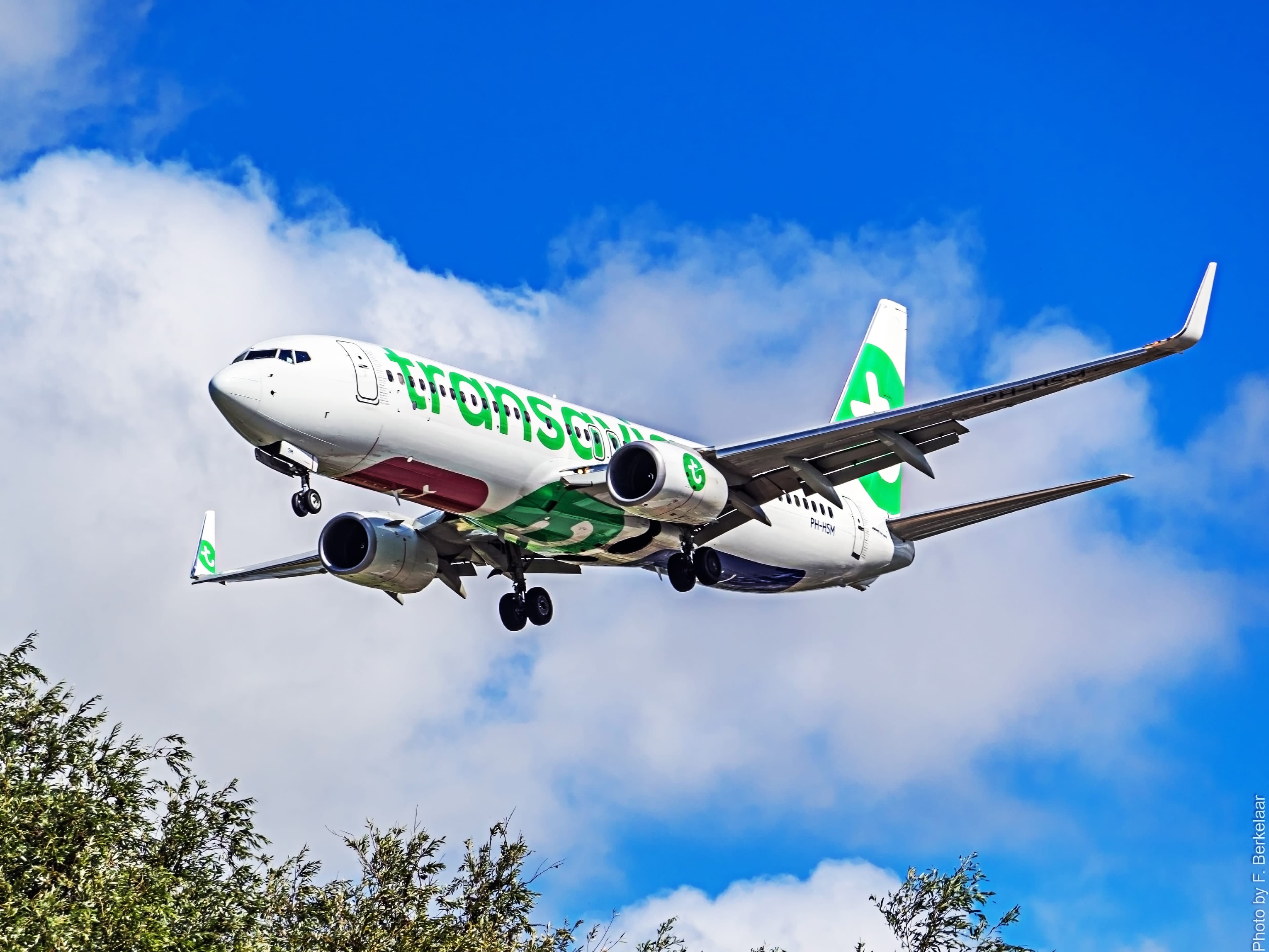 Conversation with Vanja Mlaco - Digital Growth Strategist - Transavia cover image